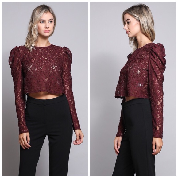 ❗️CLOSING SALE❗️Ox Blood Jacquard Lace Crop Top - Picture 3 of 3